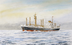 Houtman