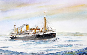 Merak