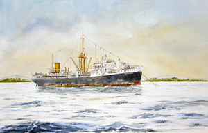 Waibalong