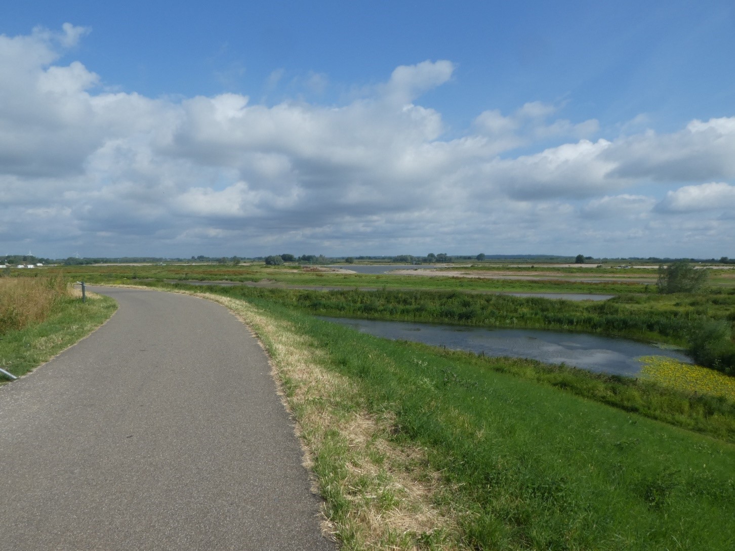 Waal Bandijk